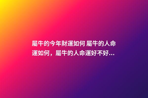 屬牛的今年財運如何 屬牛的人命運如何，屬牛的人命運好不好？-第1張-觀點-玄機派